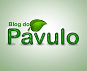 Portal Do Pavulo